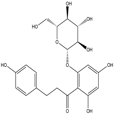 Phlorizin