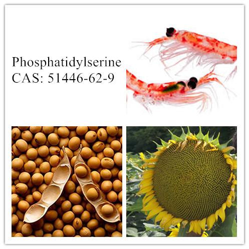 Phosphatidylserine (PS)