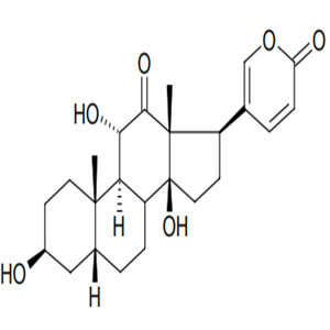 Arenobufagin CAS No. 464-74-4