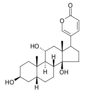 Gamabufogenin CAS No. 465-11-2