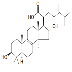 Tumulosic acid, CAS No. 508-24-7, YCP2537