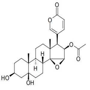 Cinobufotalin CAS No. 1108-68-5