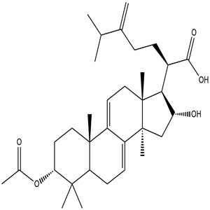 3-Epidehydropachymic acid, CAS No. 168293-15-0, YCP2386