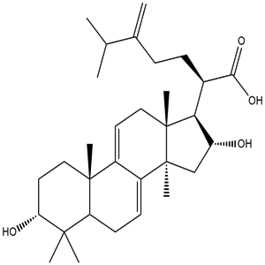 3-Epidehydrotumulosic acid, CAS No. 167775-54-4, YCP2385