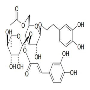 6'-O-Acetylacteoside, CAS No. 441769-43-3, YCP2453