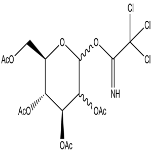 YCSCP-009