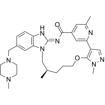 BI4020, YSCP-206