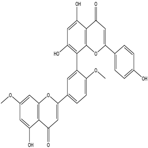 Ginkgetin, CAS No. 481-46-9, YCP0475