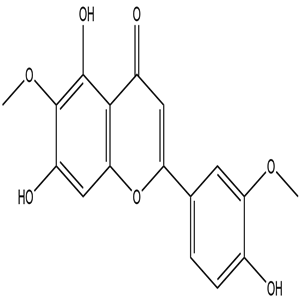 Jaceosidin, CAS No. 18085-97-7, YCP0615
