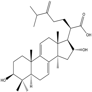 Dehydrotumulosic acid, CAS No. 6754-16-1, YCP1298
