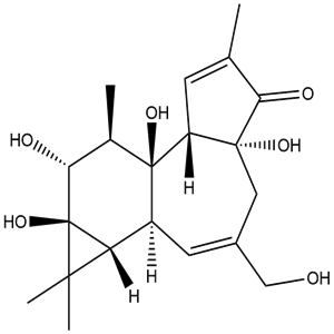 Phorbol, CAS No. 17673-25-5, YCP1775