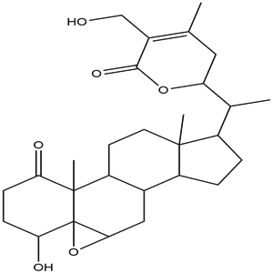 Dihydrowithaferin A, CAS No. 5589-41-3, YCP1915