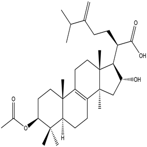 Pachymic acid, CAS No. 29070-92-6, YCP2510