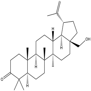 Betulone, CAS No. 7020-34-0, YCP2494