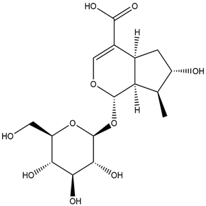 8-Epiloganic acid, CAS No. 82509-41-9, YCP2370