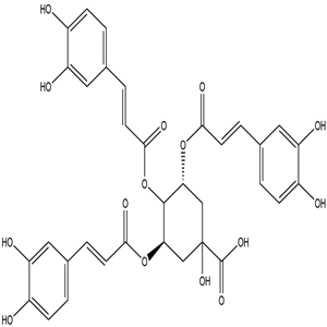 3,4,5-Tricaffeoylquinic acid, CAS No. 86632-03-3, YCP2369