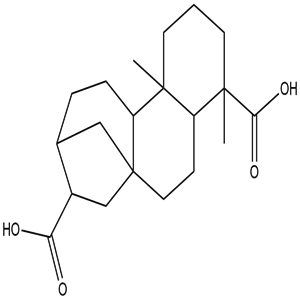EET-kauran-17,19-dioicacid, CAS No. 60761-79-7, YCP2279