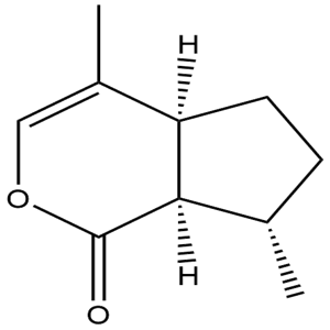 Nepetalactone, CAS No. 21651-62-7, YCP2241