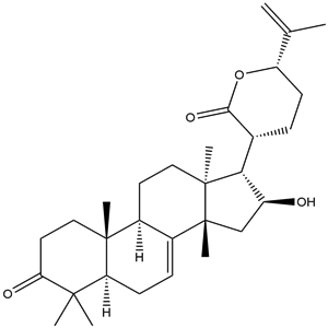 Dubione B, YCP2138