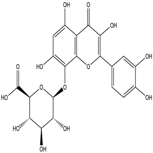 Gossypetin 8-O-beta-D-glucuronide, CAS No. 55366-56-8, YCP2083