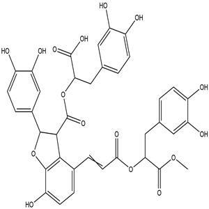 9'''-Methyl salvianolate B, CAS No. 1167424-32-9, YCP2052