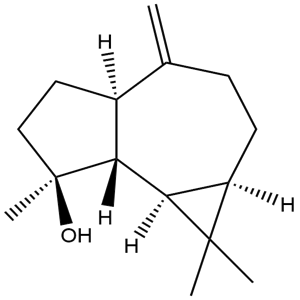 Spathulenol, CAS No. 6750-60-3, YCP1967