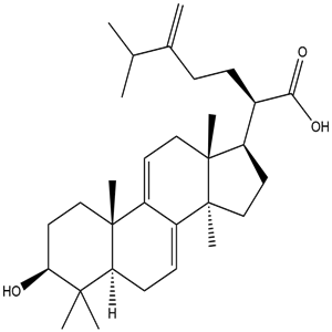 Dehydroeburicoic acid, CAS No. 6879-05-6, YCP1949