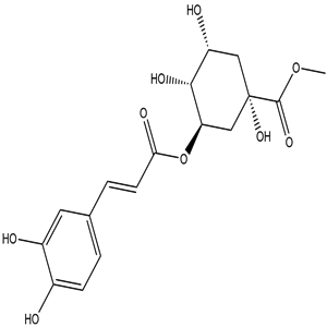 3-O-Caffeoylquinic acid methyl ester, CAS No. 123483-19-2, YCP1948