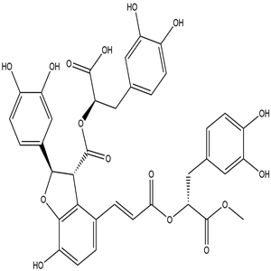9''-Methyl salvianolate B, CAS No. 1167424-31-8, YCP1930