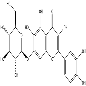 Quercetagitrin, CAS No. 548-75-4, YCP1901