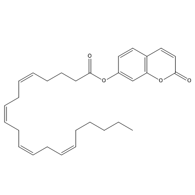 7-Hydroxycoumarinyl Arachidonate (Umbelliferyl Arachidonate), CAS No. 161180-11-6